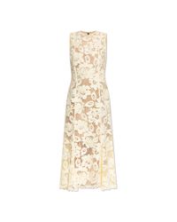 Self-Portrait Metallic Sleeveless Lace Dress