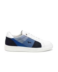 scarpa harmont e blaine