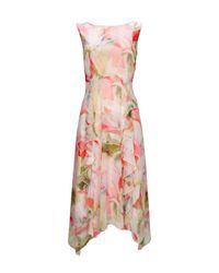 wallis blush floral ruffle dress