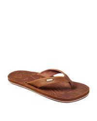 Reef dames Schoenen | FASHIOLA.be
