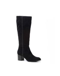 Blue Box dames laarzen online bestellen | Scapino