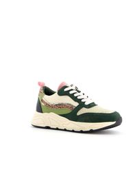 Blue Box dames dad sneakers met dierenprint online bestellen | Scapino