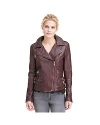 wilson plus size leather jackets