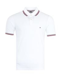tommy polo