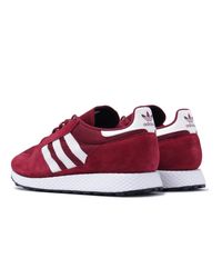 adidas originals forest grove trainers in burgundy