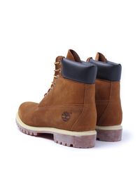 timberland 6 inch premium rust