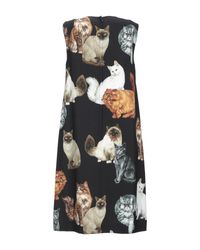 Dolce & Gabbana Black Kurzes Kleid