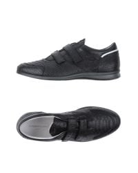Alberto Guardiani Black Low-tops & Sneakers