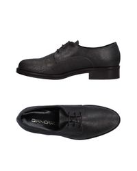 Giancarlo Paoli Brown Lace-up Shoe