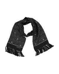 dolce e gabbana sciarpa