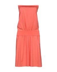 Paul & Joe Pink Knee-length Dress