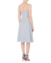 Vestito al ginocchio di Calvin Klein in Gray