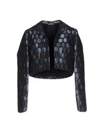 P.A.R.O.S.H. Blue Blazer