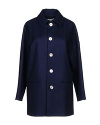 Julien David Blue Coat
