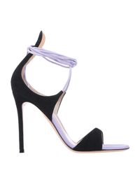 Gianvito Rossi Purple Sandals