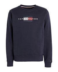 النوع دقيق انتظر felpa bianca uomo tommy hilfiger - siprofitness.com