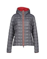 Williams Wilson Gray Jacket
