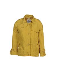 313 Tre Uno Tre Yellow Jacket