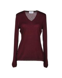 Snobby Sheep Purple Jumper