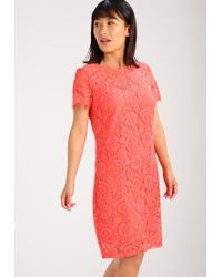 dorothy perkins coral dress