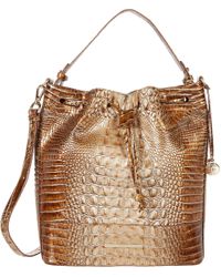 brahmin marlowe