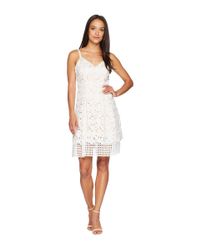 Vince Camuto White Lace Sleeveless Fit And Flare Dress (ivory) Dress