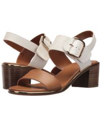 Tommy Hilfiger Brown Katz2 (burgundy) Women's Shoes