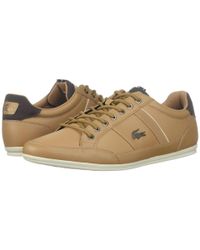 lacoste chaymon dark brown