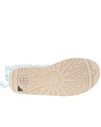 aqua bailey bow uggs