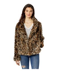sam edelman faux fur leopard jacket