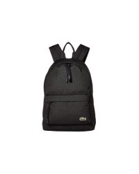 lacoste school bags