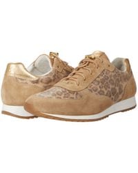 paul green leopard sneakers