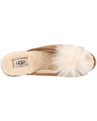 ugg yvett slippers