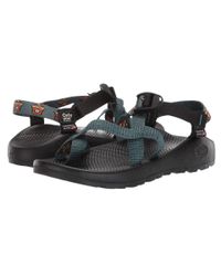 face mallard chaco