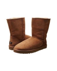 ugg boots male
