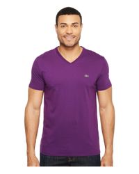 purple lacoste shirt