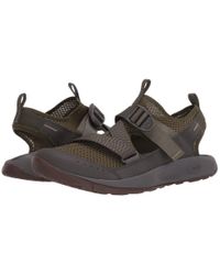 chaco