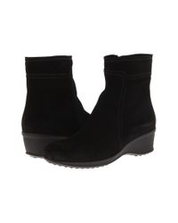 la canadienne finley