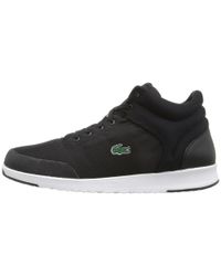 lacoste light 316