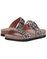 Taos Footwear Maximo (grey Leopard Print) Women's Sandals - Lyst