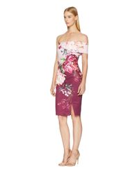 ted baker irlina dress