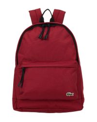 lacoste pink backpack