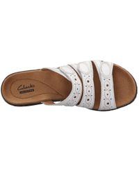clarks leisa cacti