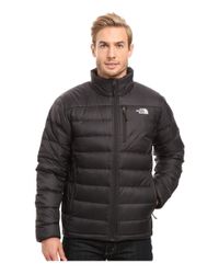 aconcagua jacket men's