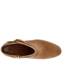 coach delaney signature buckle heel bootie