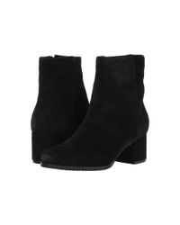 blondo alida waterproof