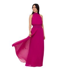 xscape evening dresses