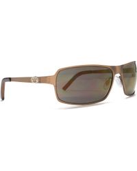 animal sunglasses uk