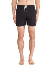 obey swim shorts