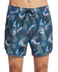 rainforest swim trunks